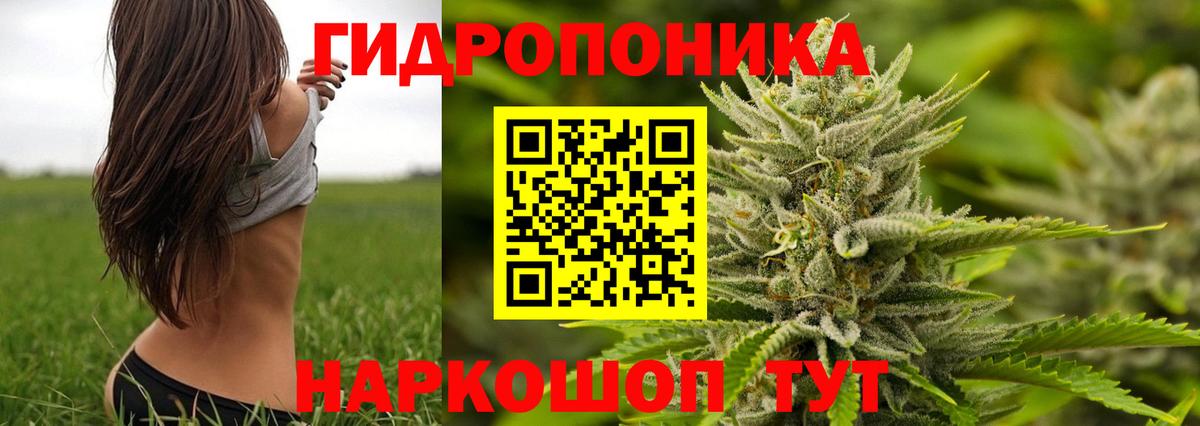 Бошки марихуана MAZAR Железногорск
